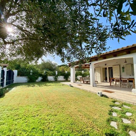 La Casa Dell Olivo Villa Кастиадас Екстериор снимка