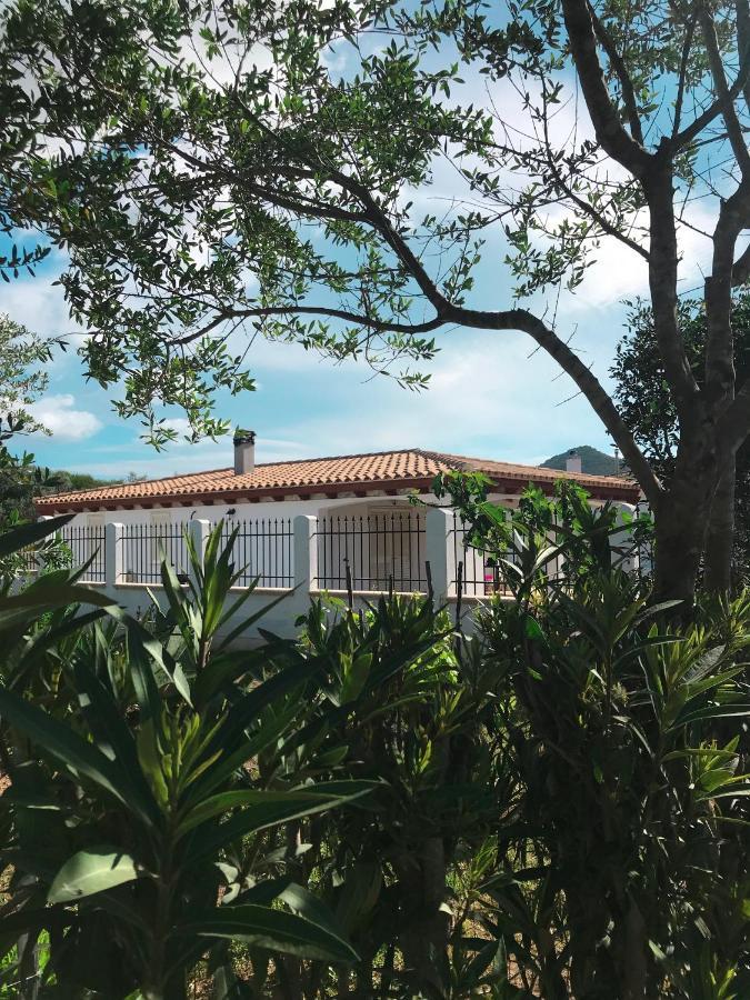 La Casa Dell Olivo Villa Кастиадас Екстериор снимка